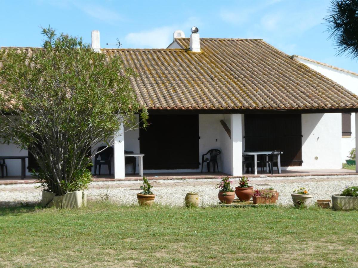Mas Du Clos De La Barque Saintes-Maries-de-la-Mer Dış mekan fotoğraf