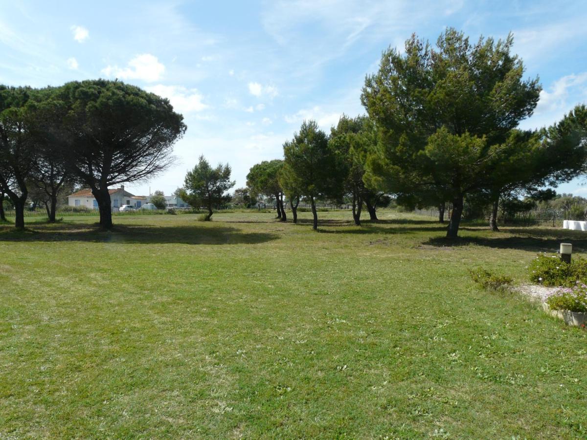 Mas Du Clos De La Barque Saintes-Maries-de-la-Mer Dış mekan fotoğraf