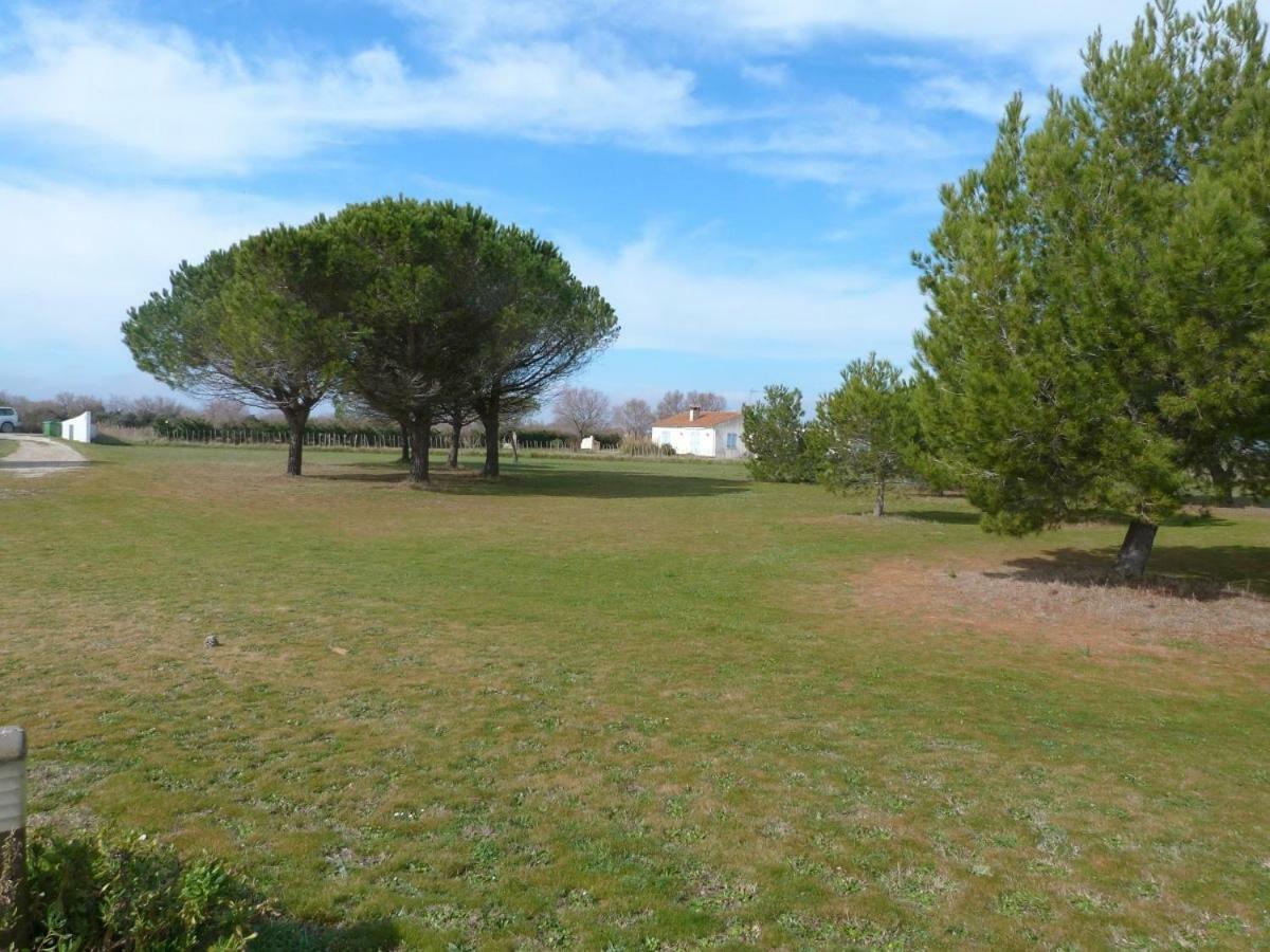 Mas Du Clos De La Barque Saintes-Maries-de-la-Mer Dış mekan fotoğraf