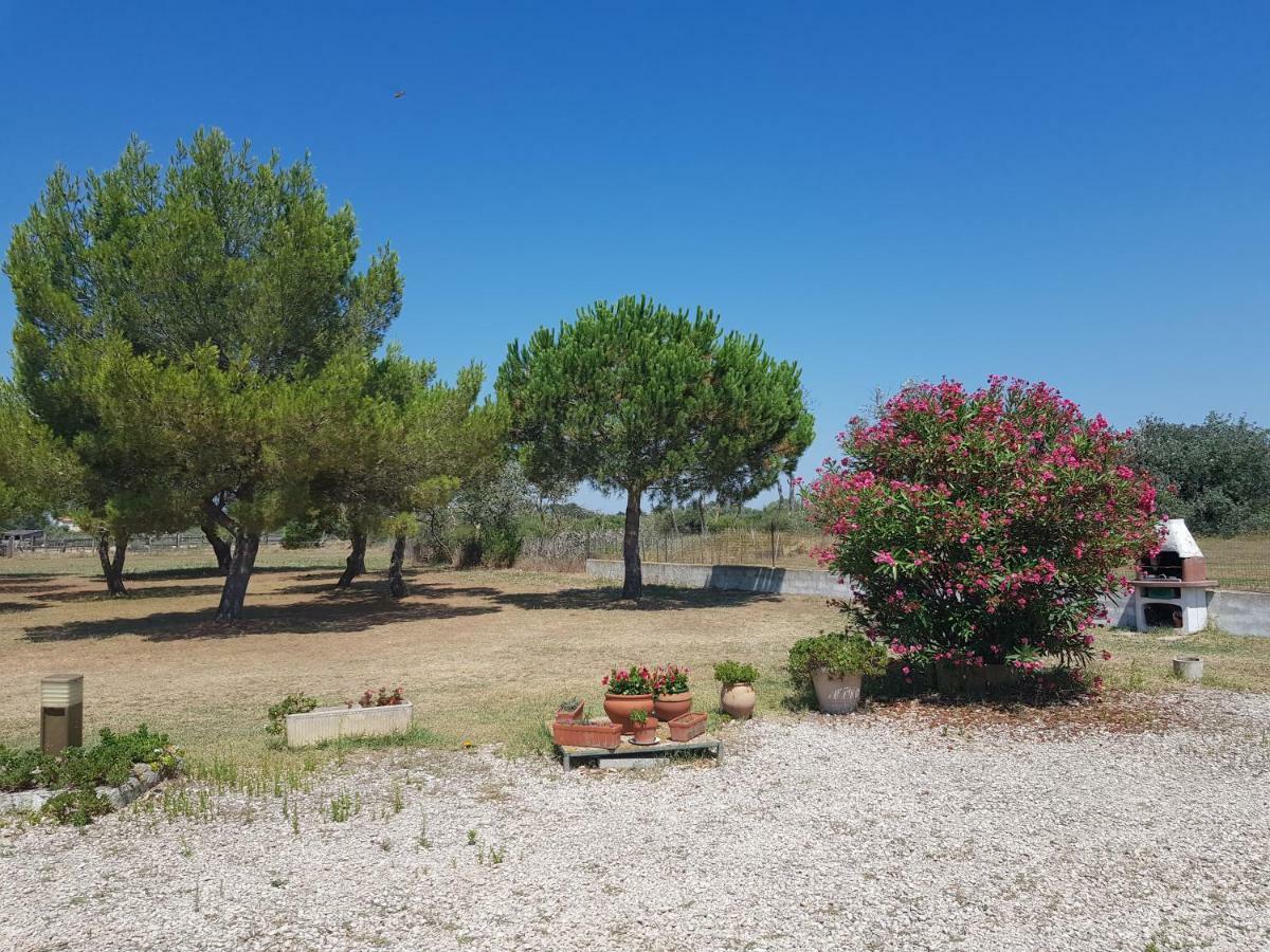 Mas Du Clos De La Barque Saintes-Maries-de-la-Mer Dış mekan fotoğraf