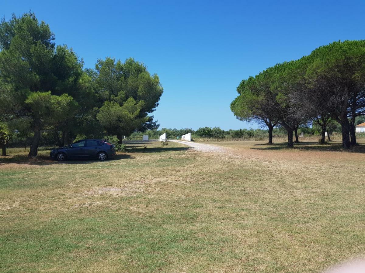 Mas Du Clos De La Barque Saintes-Maries-de-la-Mer Dış mekan fotoğraf
